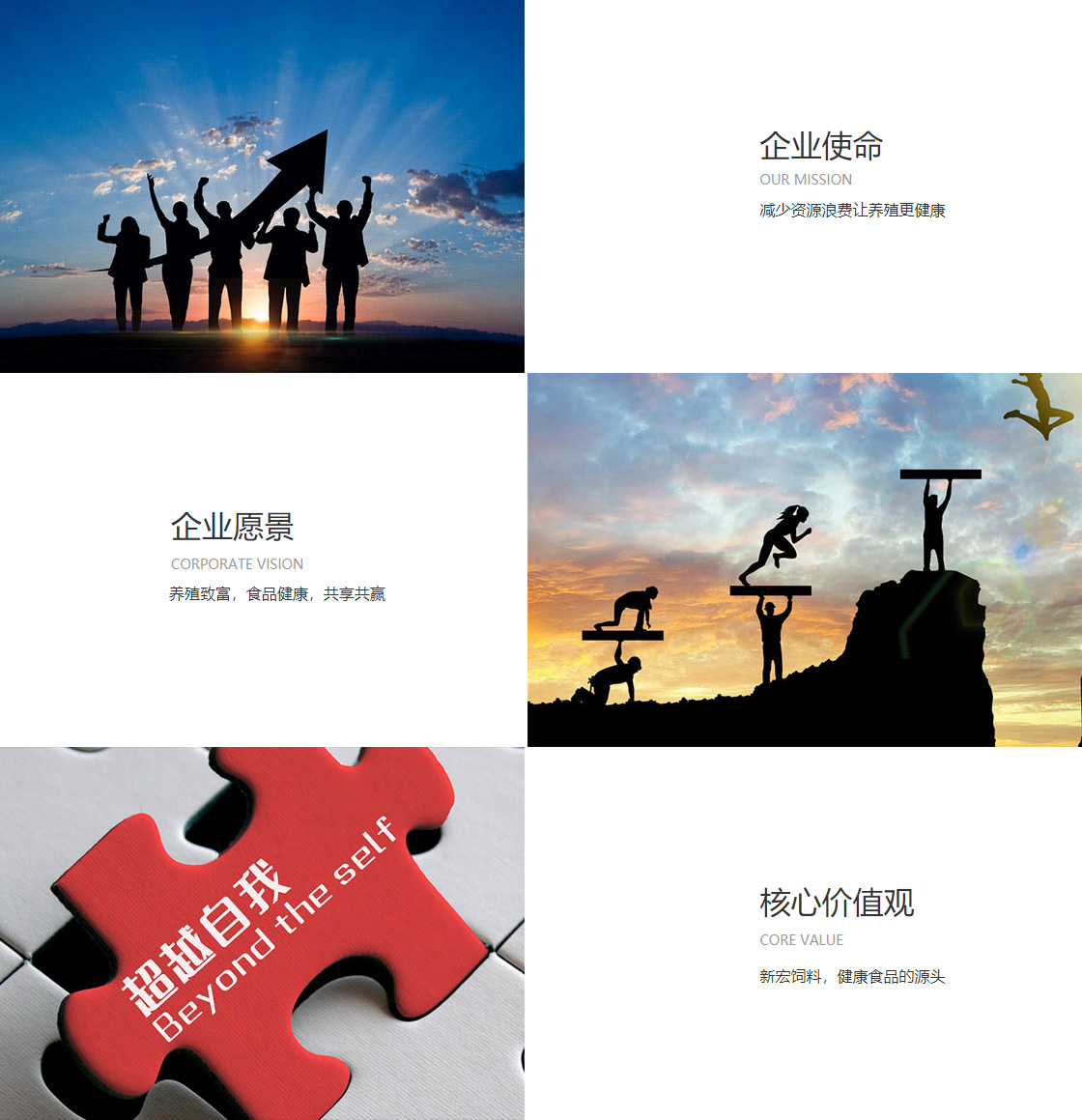 九州酷游体育网址(图1)